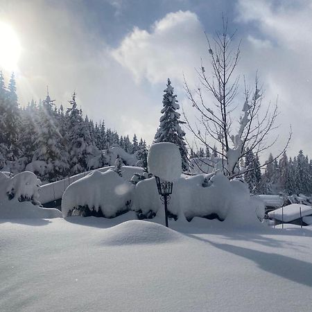 Appartementhaus Hochkoenig - Panoramablick Mühlbach am Hochkönig Dış mekan fotoğraf