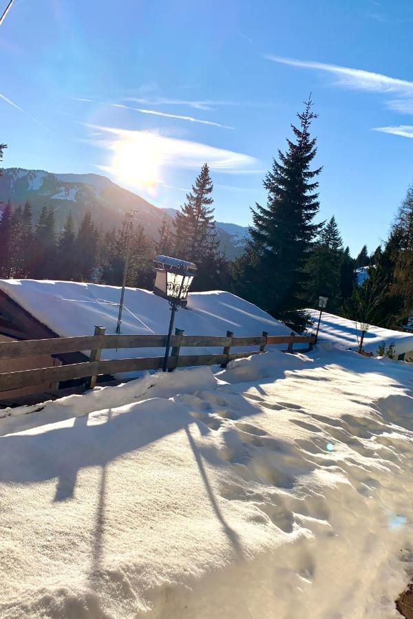 Appartementhaus Hochkoenig - Panoramablick Mühlbach am Hochkönig Dış mekan fotoğraf
