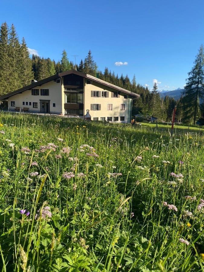 Appartementhaus Hochkoenig - Panoramablick Mühlbach am Hochkönig Dış mekan fotoğraf