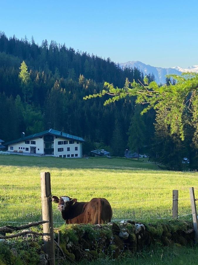 Appartementhaus Hochkoenig - Panoramablick Mühlbach am Hochkönig Dış mekan fotoğraf
