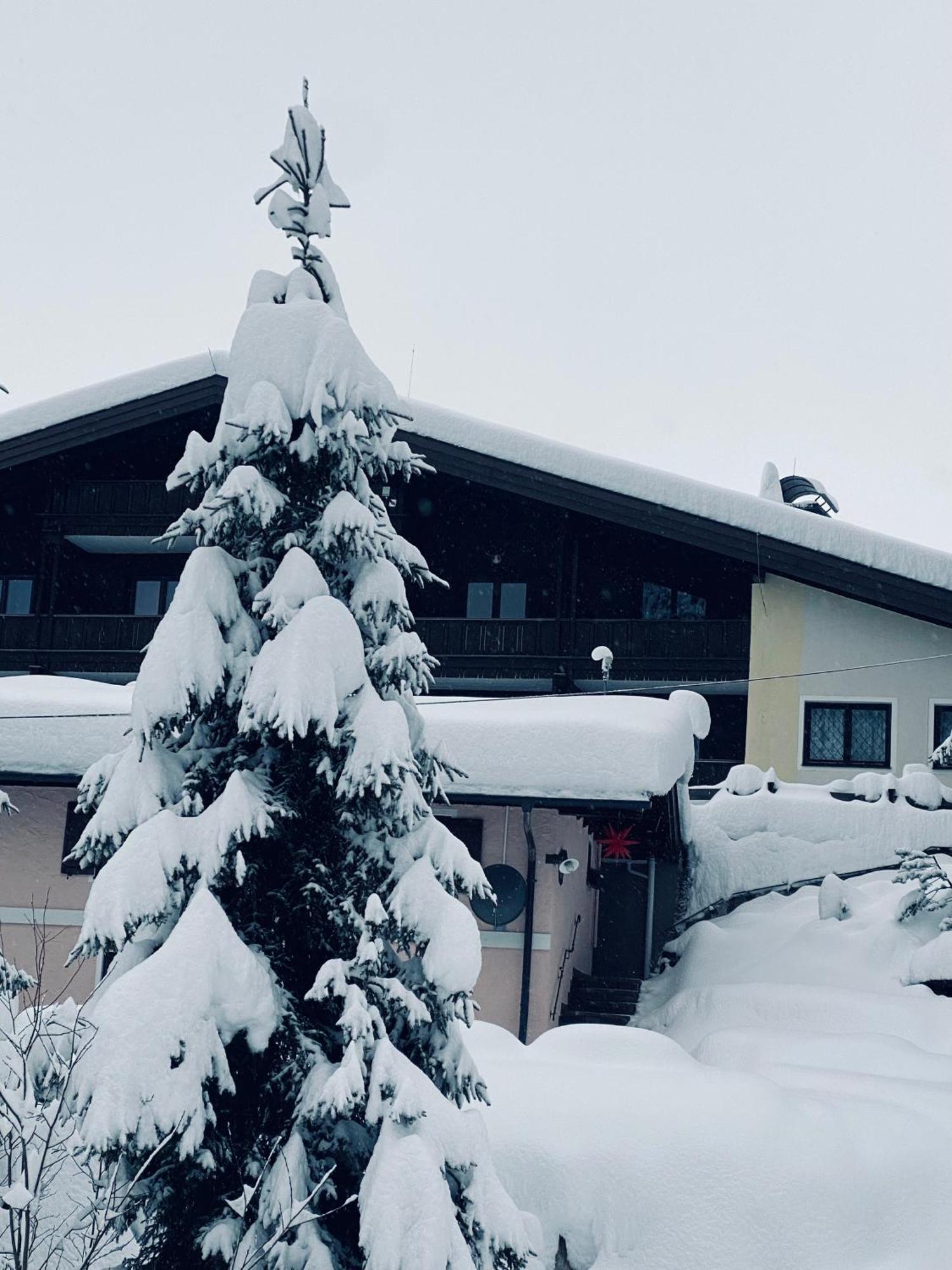 Appartementhaus Hochkoenig - Panoramablick Mühlbach am Hochkönig Dış mekan fotoğraf