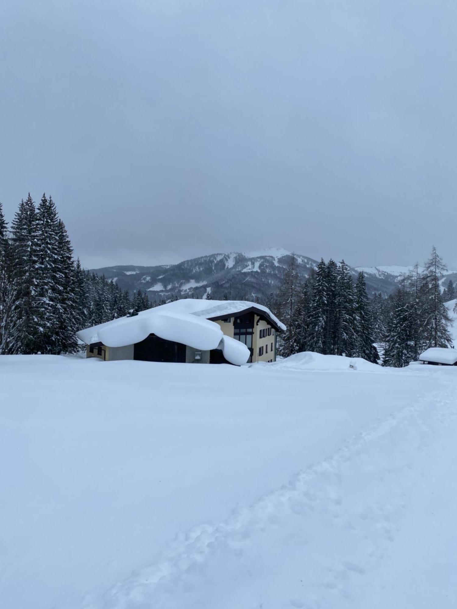 Appartementhaus Hochkoenig - Panoramablick Mühlbach am Hochkönig Dış mekan fotoğraf