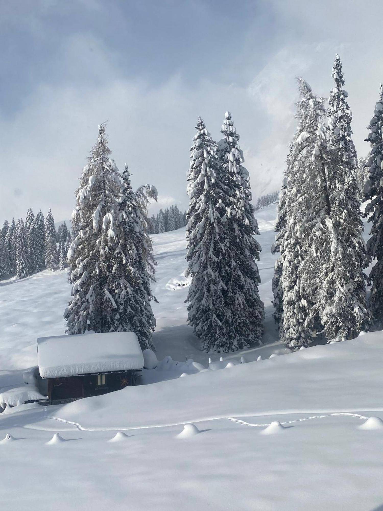 Appartementhaus Hochkoenig - Panoramablick Mühlbach am Hochkönig Dış mekan fotoğraf